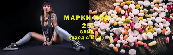 мдпв Верея
