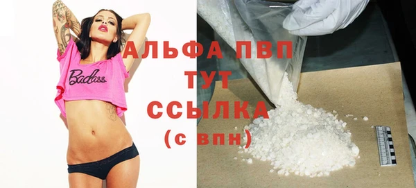 мдпв Верея