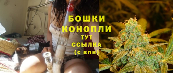 молекула духа Богородск